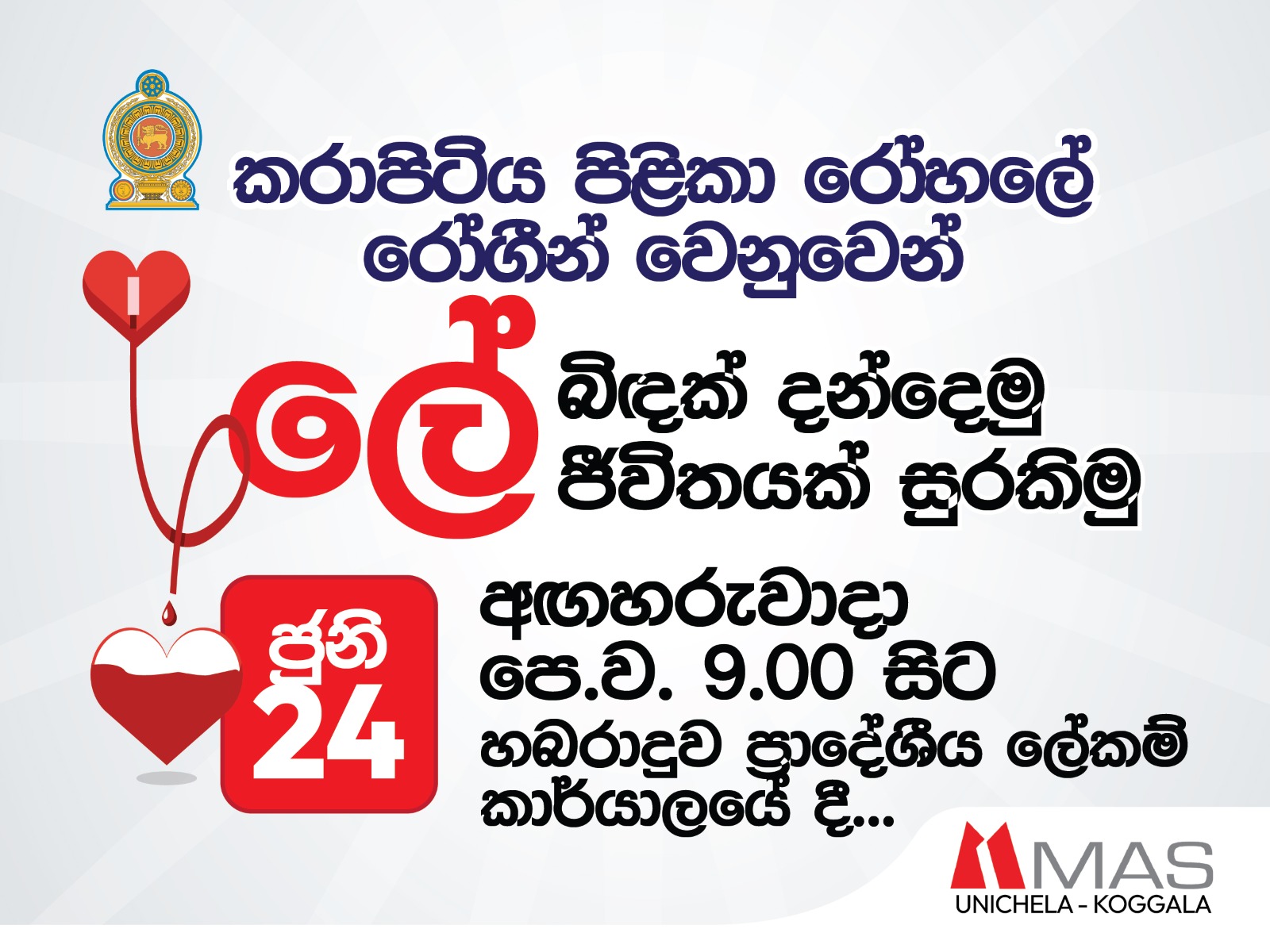 WhatsApp Image 2025 06 20 at 3.12.55 PM
