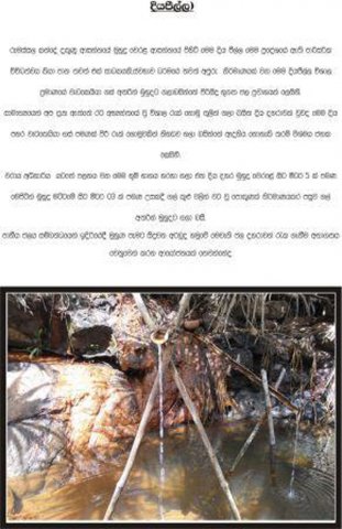 About Rumassala