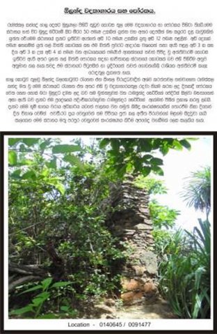 About Rumassala